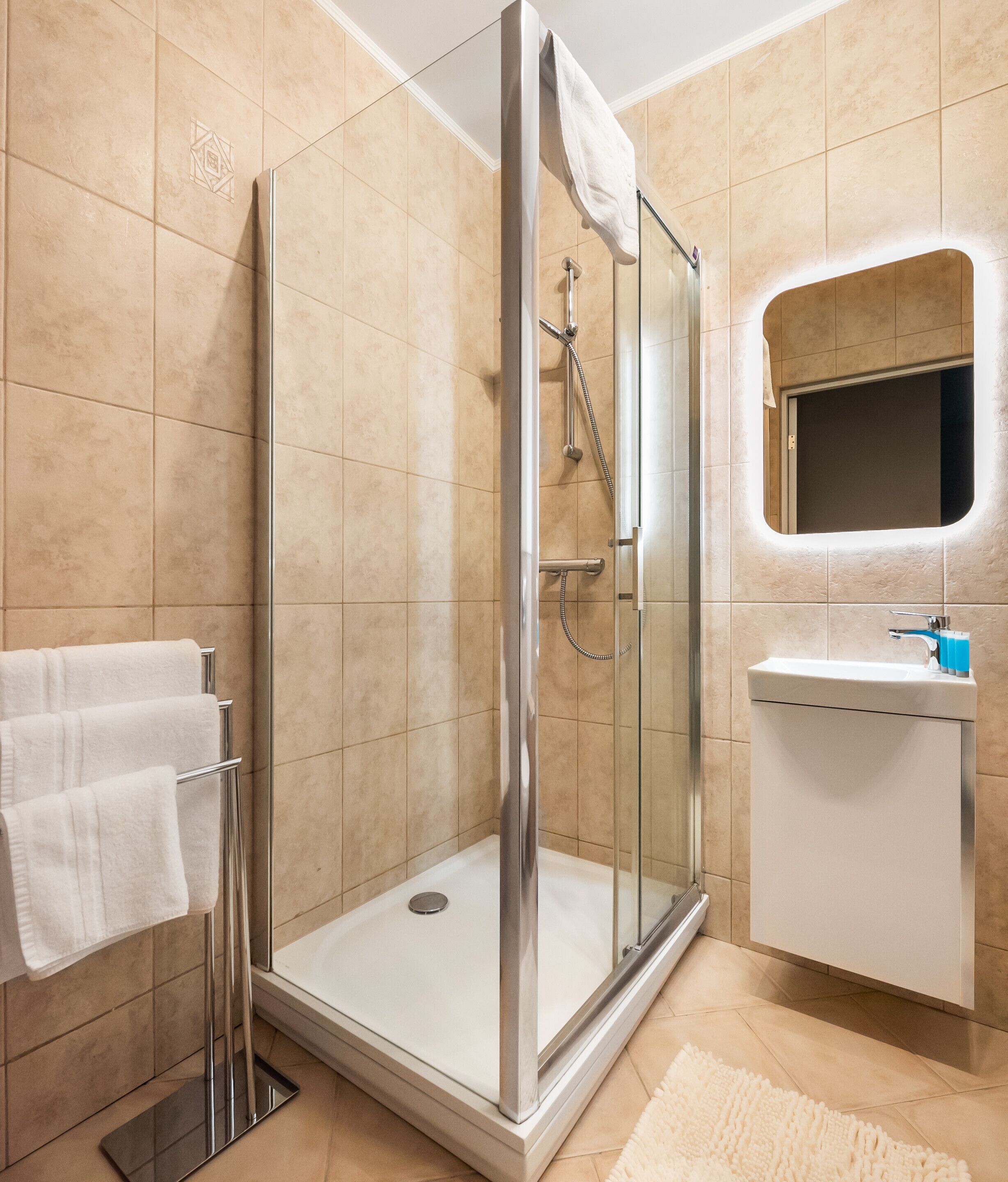 Shower, hair dryer, towels