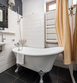 Shower, free toiletries, hair dryer, towels