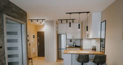 Nowy ZĆocieĆ Comfort Apartment