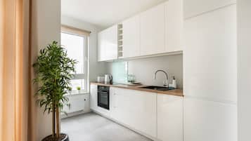 Fridge, oven, stovetop, dishwasher