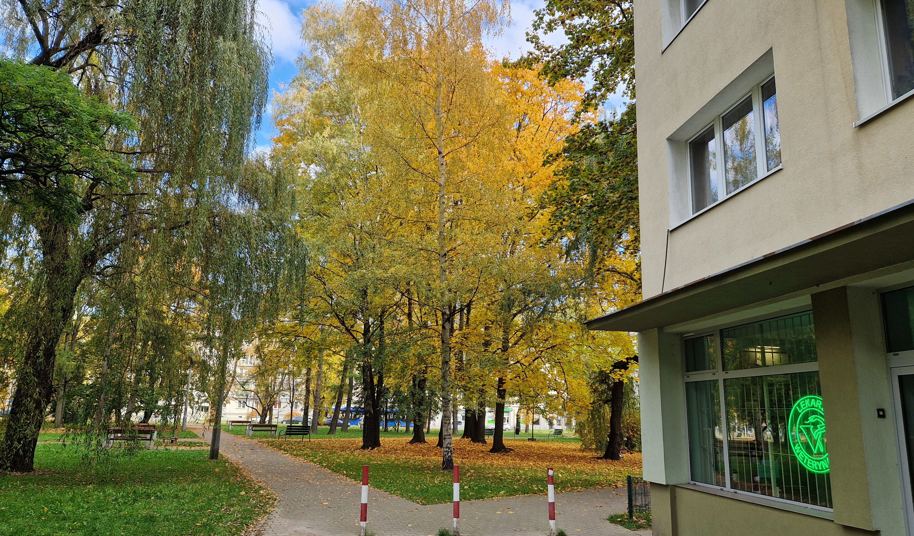 Un parco con alberi, panchine e un edificio con una finestra.