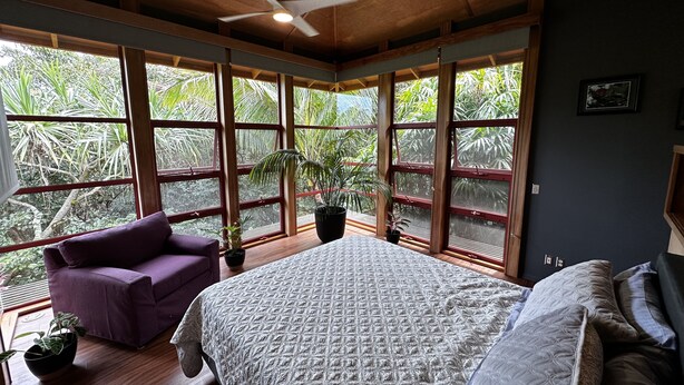 A bedroom with a large bed, a ceiling fan, and a view of tropical foliage through large windows.