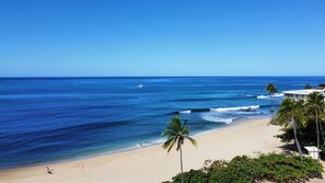 Una playa con agua azul cristalina, una orilla arenosa y palmeras.