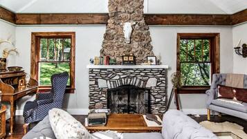 Fireplace, books