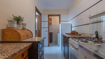 Fridge, oven, stovetop, cookware/dishes/utensils