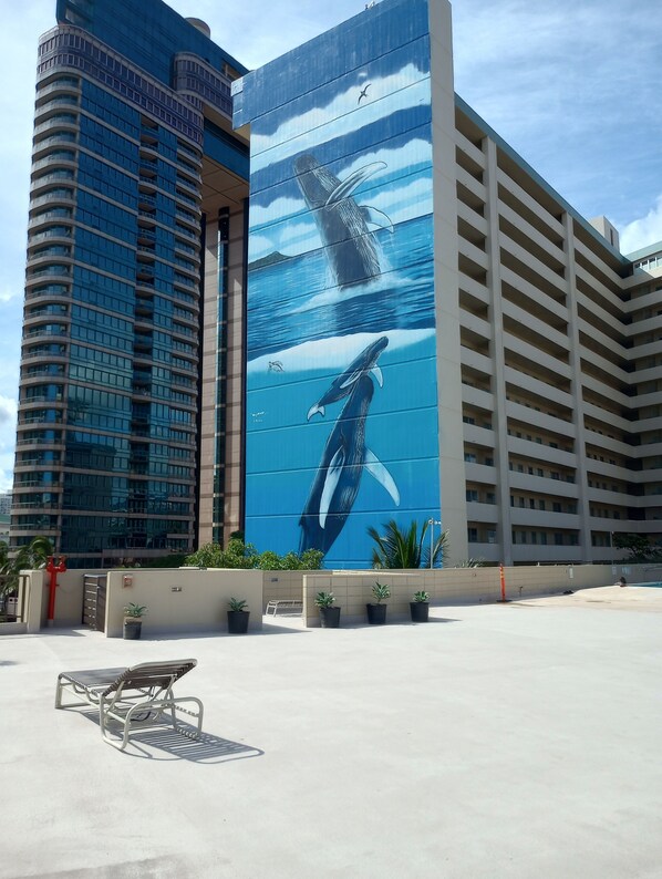 Property grounds - Cozy studio condo in wonderful Honolulu with WiFi, fitness room (Honolulu)