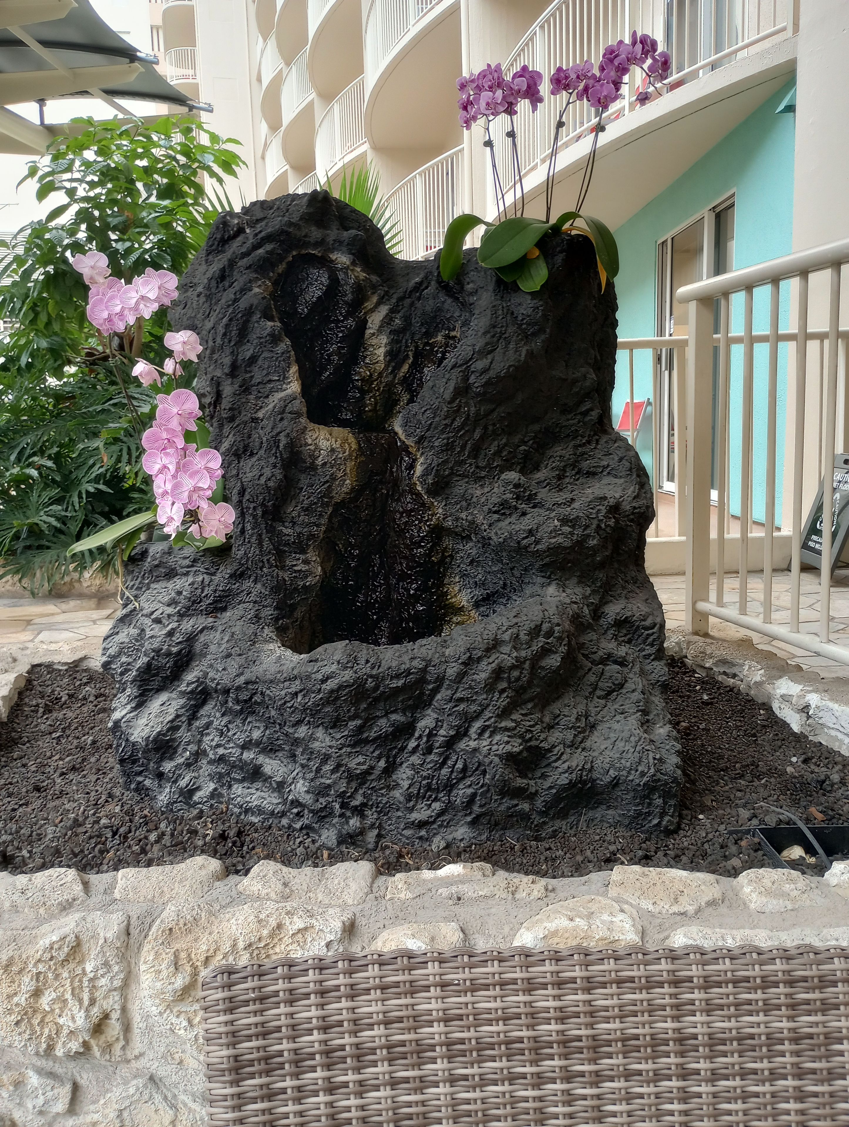 Una formación rocosa con flores rosadas y una cesta de mimbre.