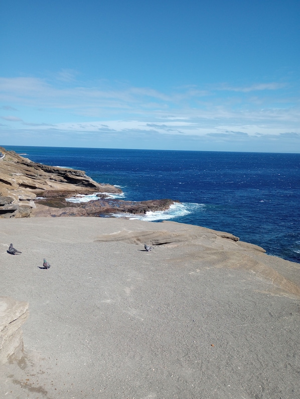A rocky coastline with a clear view of the ocean.