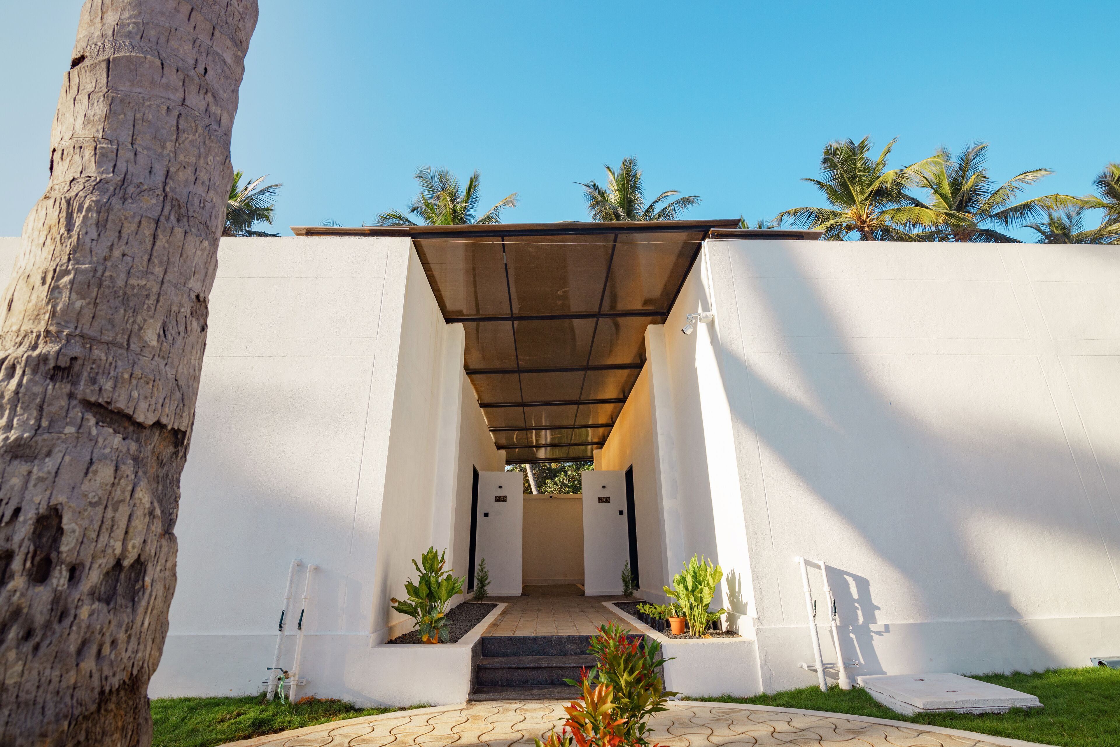 A modern building entrance with a covered walkway, white walls, and potted plants.