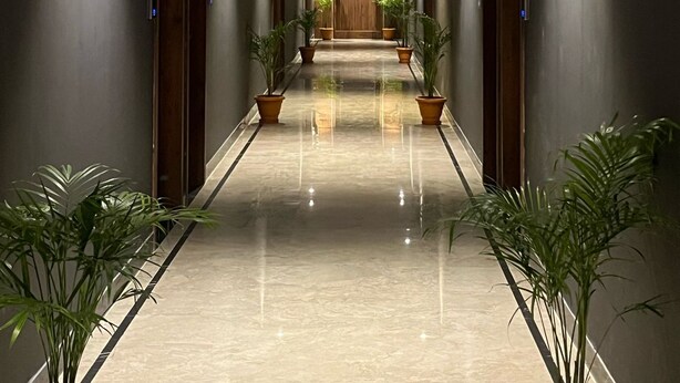 A long, narrow hallway with a polished floor, flanked by potted plants and doors on either side.