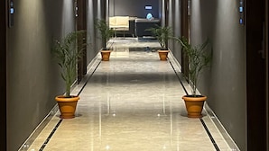 A long, narrow hallway with a shiny floor, flanked by walls with doors on both sides. There are potted plants placed at regular intervals along the hallway.