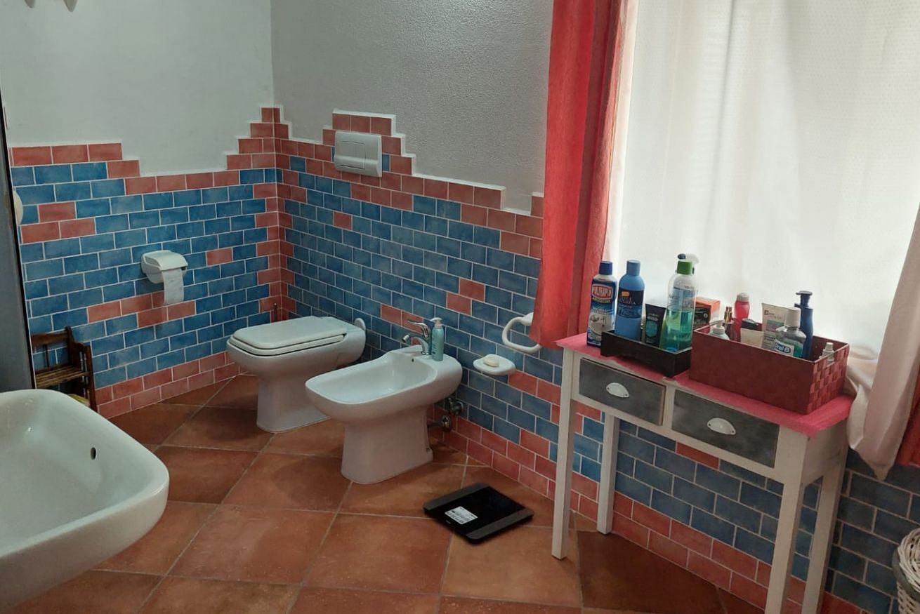 Shower, hair dryer, bidet