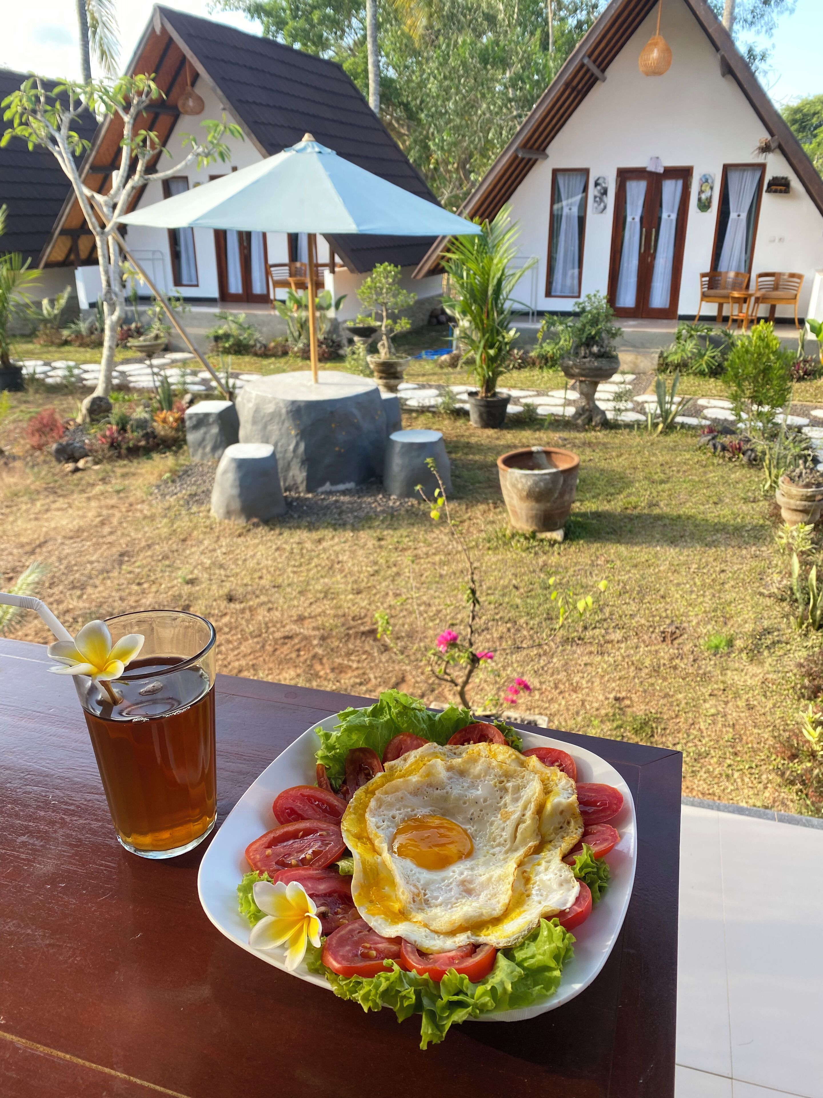 Un plato de desayuno con huevos, tomates y lechuga, un vaso de té helado, y un jardín tropical con plantas en macetas y una casa al fondo.