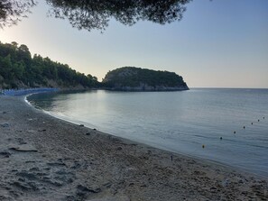 A beach with a sandy shore, calm water, and a forested hill in the background. - Maeiz Skopelos (Skopelos)