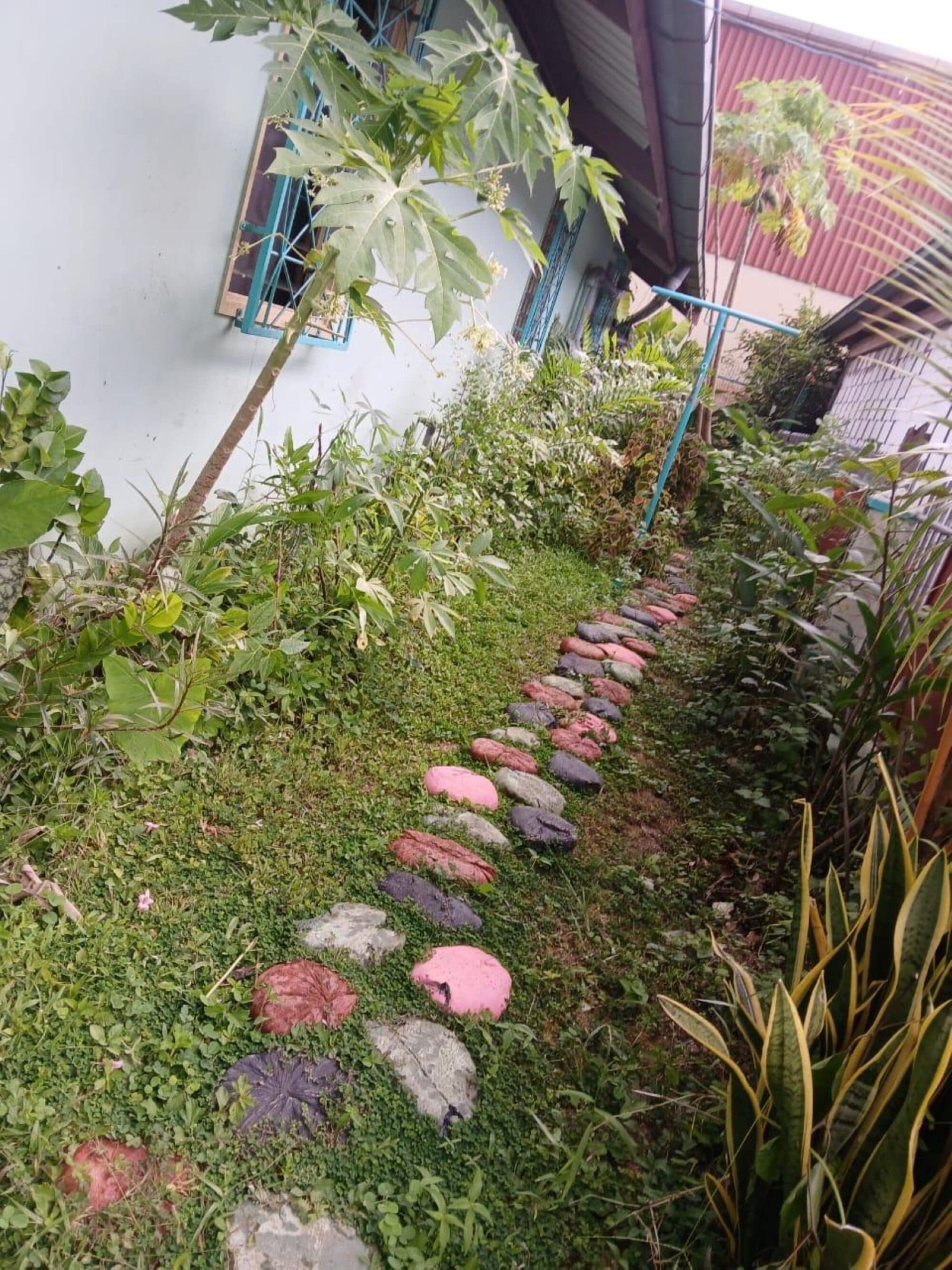 A garden pathway with stepping stones leading to a white building with blue window frames.