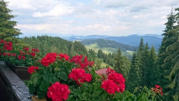 A garden with red flowers and a view of mountains. - Holiday Apartment "Haus Weitblick 2" near Slopes with Private Terrace & Wi-Fi (Hochrindl)