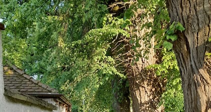 Ferienhaus 'Haus Maria' mit privater Terrasse, privatem Garten und WLAN