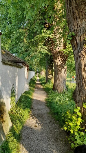 A gravel path flanked by trees and a white wall, leading to a fenced area. - Holiday Home 'Haus Maria' with Private Terrace, Private Garden and Wi-Fi (Laufen)