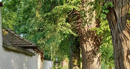 Maison de vacances 'Haus Maria' avec terrasse privée, jardin privé et Wi-Fi