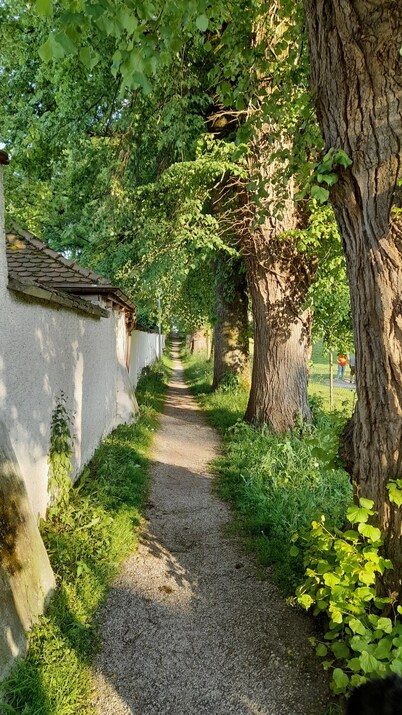 Holiday Home 'Haus Maria' with Private Terrace, Private Garden and Wi-Fi