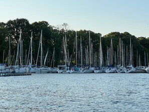 Un port de plaisance où sont amarrés de nombreux voiliers le long de la rive, entouré d’une végétation dense.