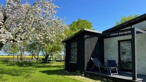 A modern cabin with a deck and a large window, surrounded by a grassy area and a tree with white blossoms. - Holiday Home 'Teehaus' (Saal)