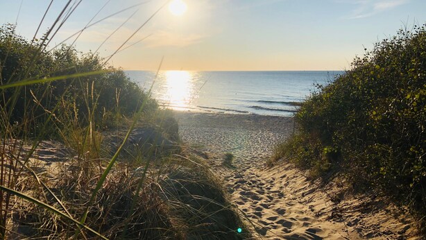 A beach path leading to the sea with sand and grass on either side. - Holiday Home 'Teehaus' (Saal)
