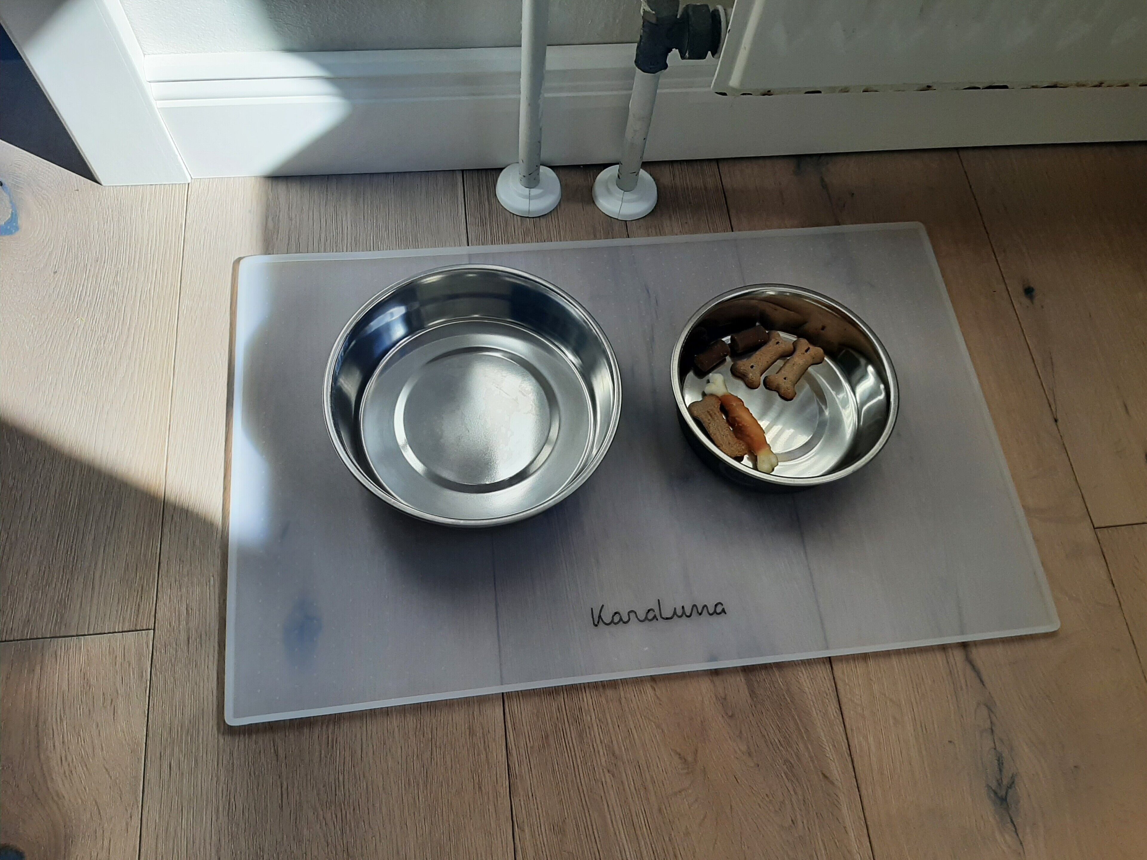A metal tray with a bowl and a plate of dog treats on a mat.