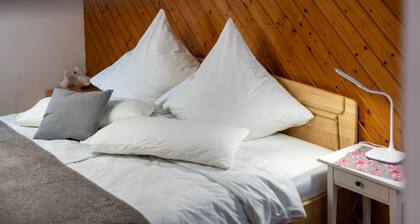 Ferienwohnung "Zum Pavillon" mit privater Terrasse und WLAN
