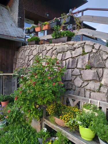 Ferienwohnung 'Schwarzwaldferienwohnung Oberle' mit Bergblick, Balkon und WLAN