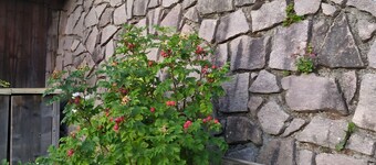 Apartamento 'Schwarzwaldferienwohnung Oberle' con vistas a la montaña, balcón y Wi-Fi