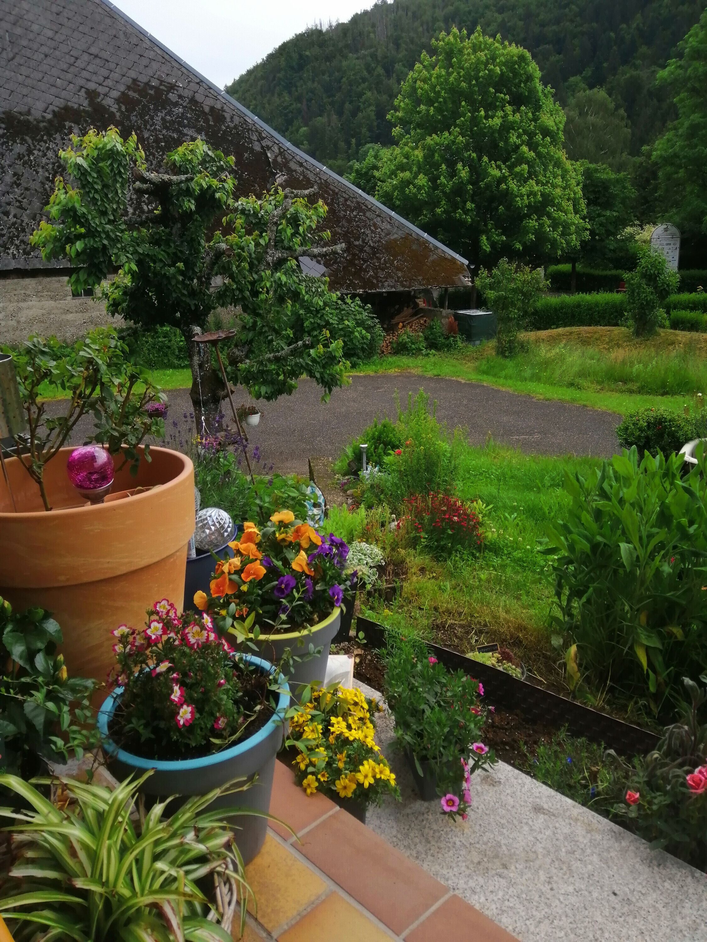 Enceinte de l’hébergement