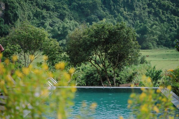 A pool surrounded by lush greenery and trees.