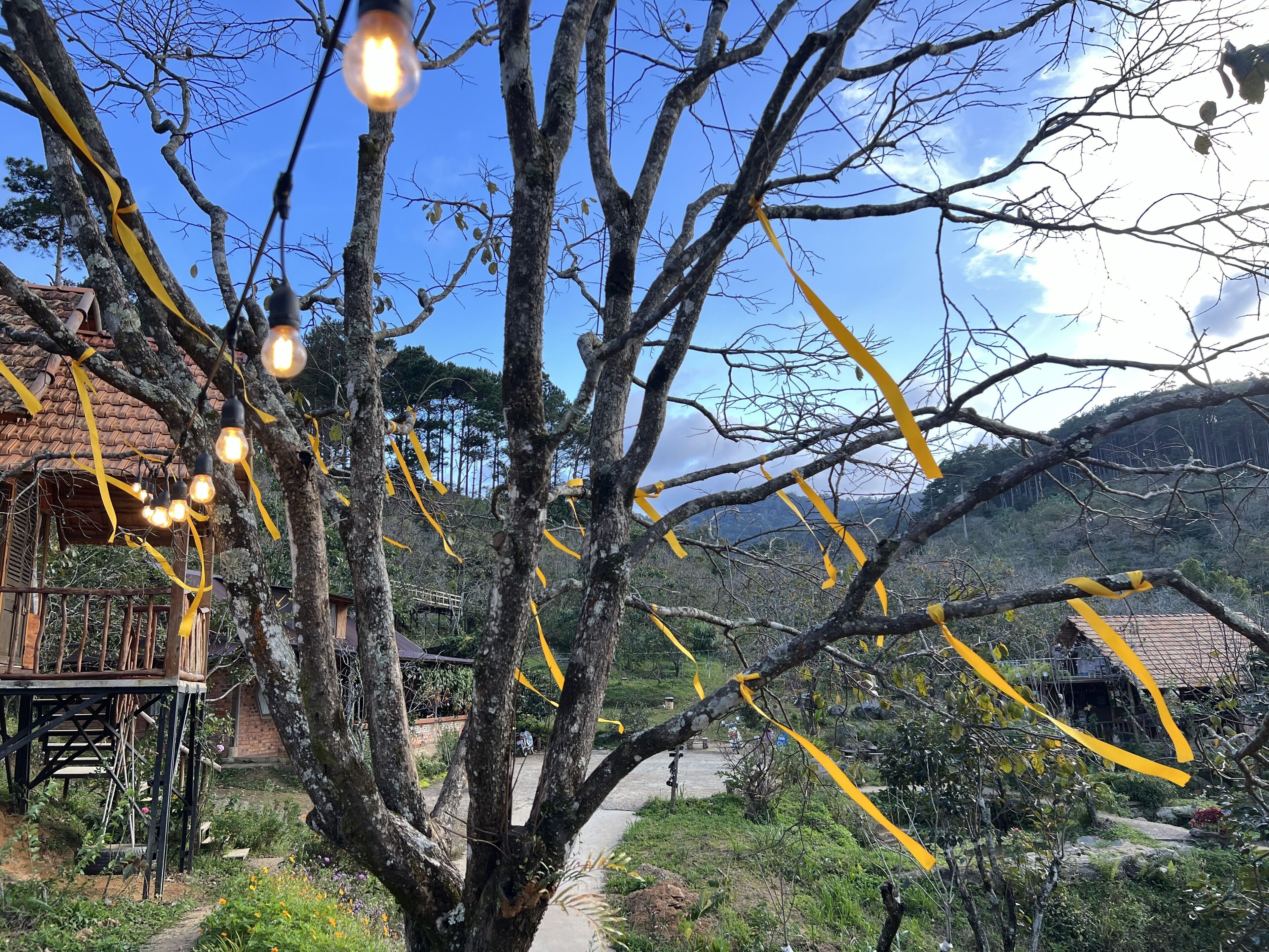 Cabin truyền thống | 1 phòng ngủ, màn/rèm cản sáng, bàn ủi/dụng cụ ủi quần áo 