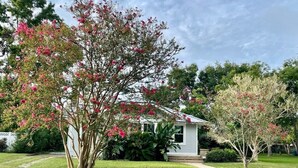 A house with a front yard, surrounded by trees with pink flowers. - 3 bedroom East Hill home 1 block from Bayview Park (Pensacola)