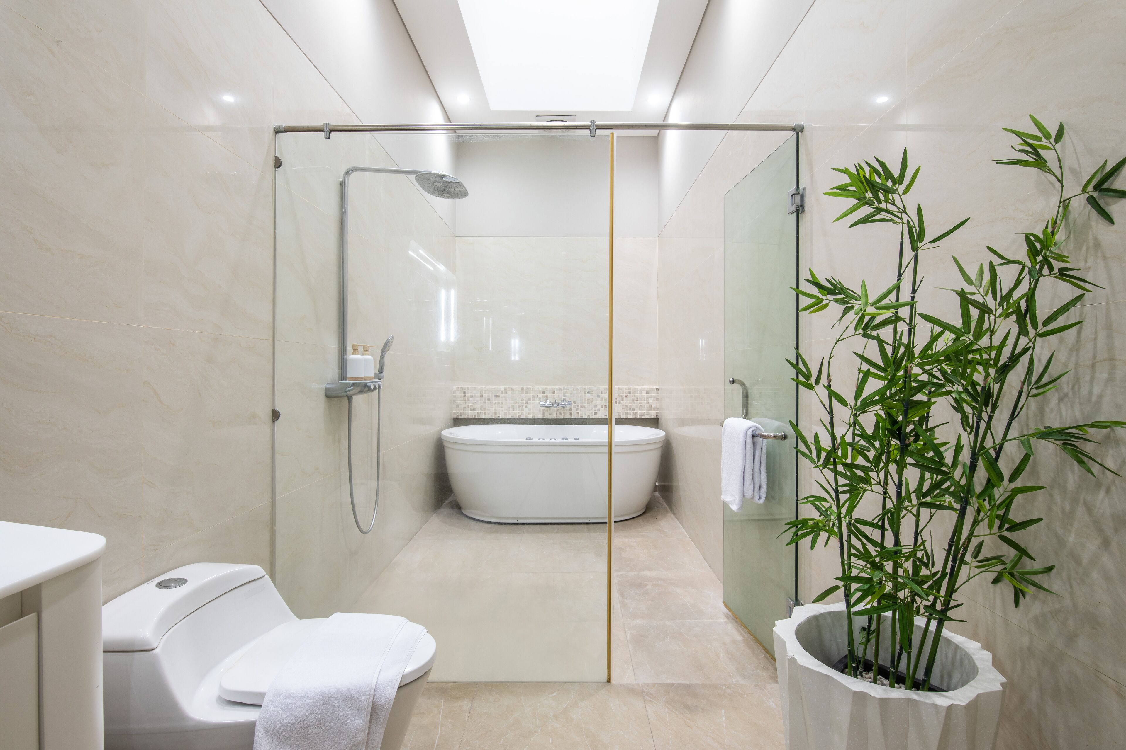 A modern bathroom with a glass-enclosed shower, a freestanding bathtub, and a potted bamboo plant.