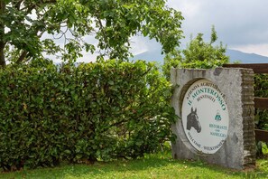 Property grounds - Farmhouse in Verbania with Lake Views (Verbania)