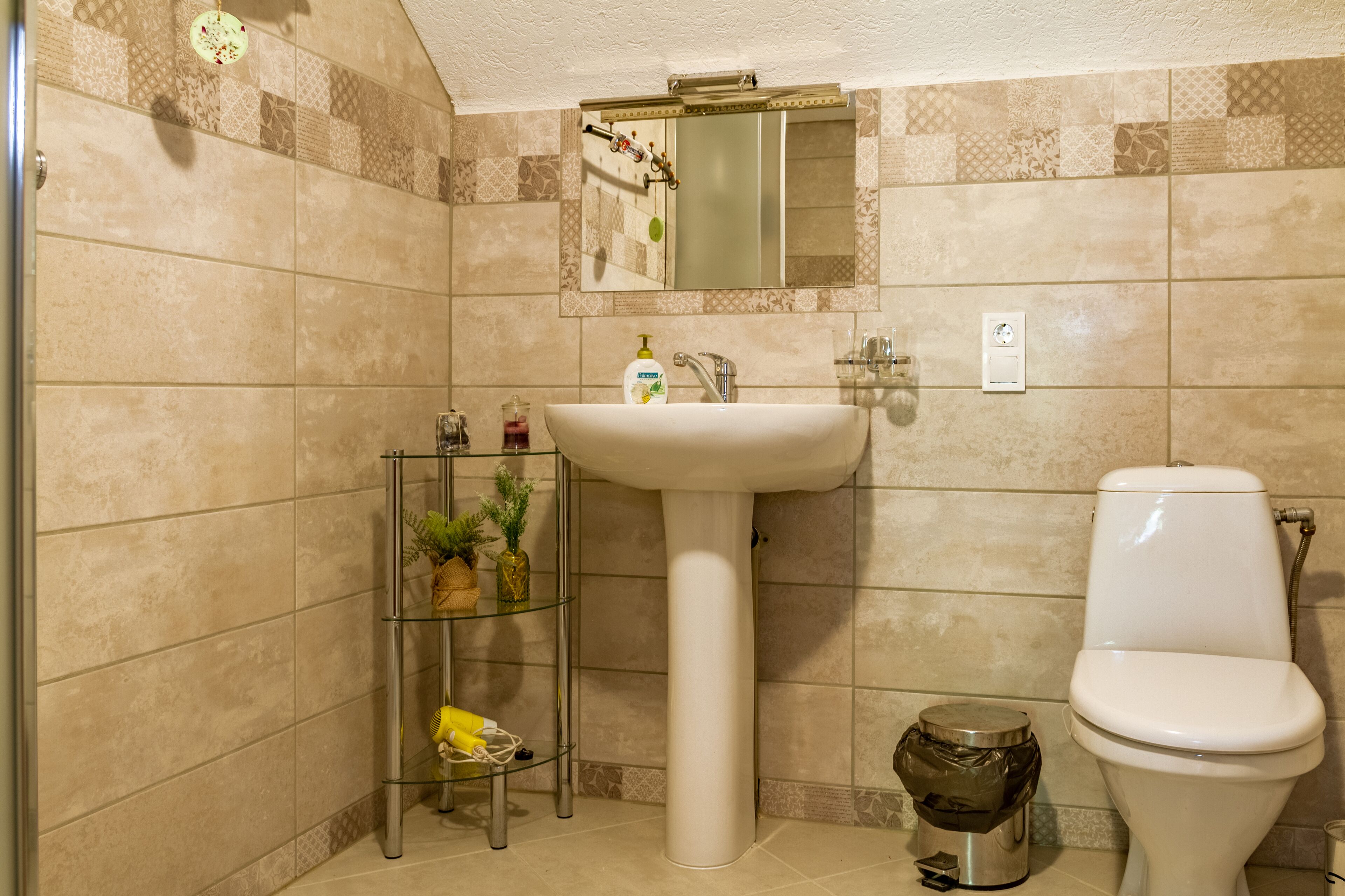 A bathroom with a pedestal sink, a toilet, a mirror, and a shelf with toiletries.