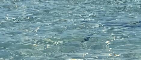 Plage à proximité, chaises longues