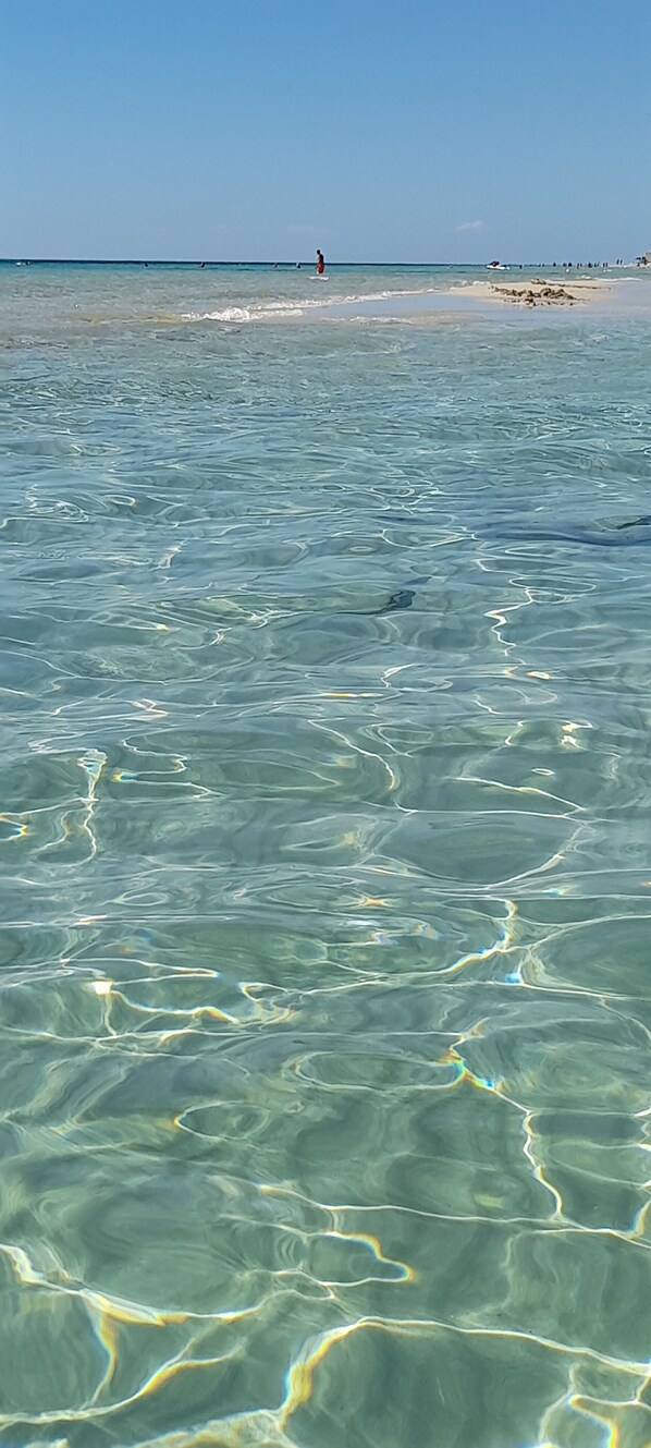 Beach nearby, sun-loungers