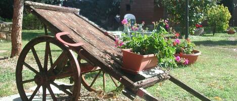 Jardines del alojamiento