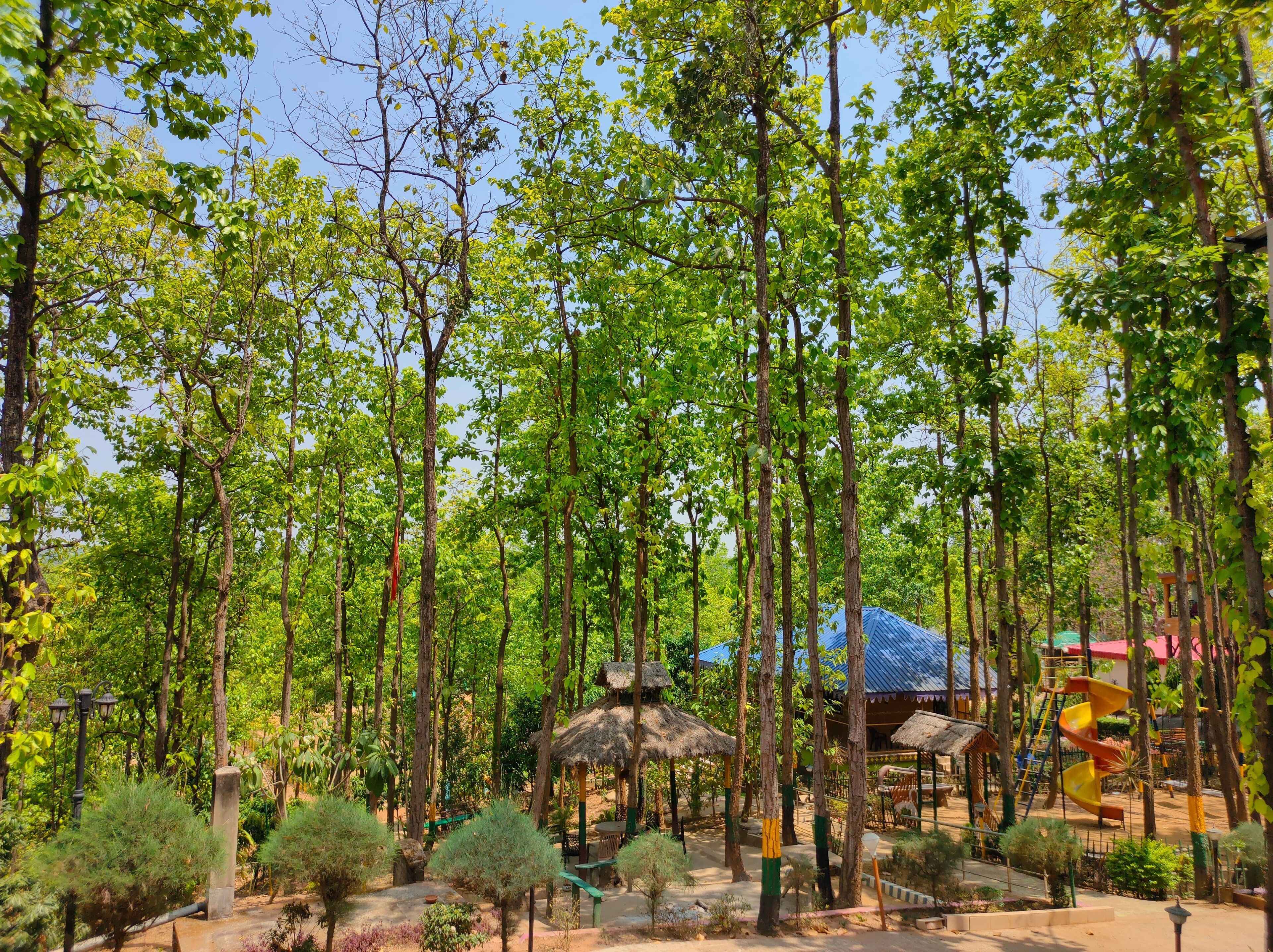 A forested area with thatched-roof structures and a playground.