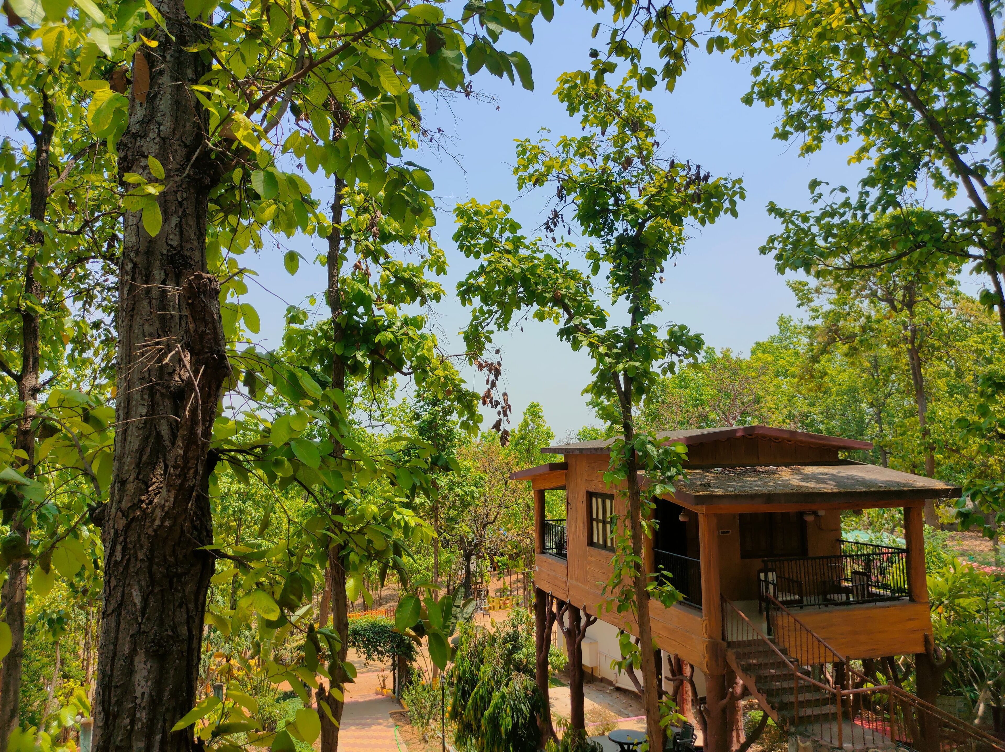 A wooden treehouse with a balcony and staircase, surrounded by lush greenery.
