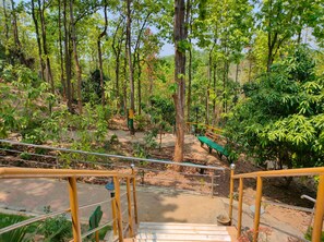 A forested area with a wooden bench and a metal railing.