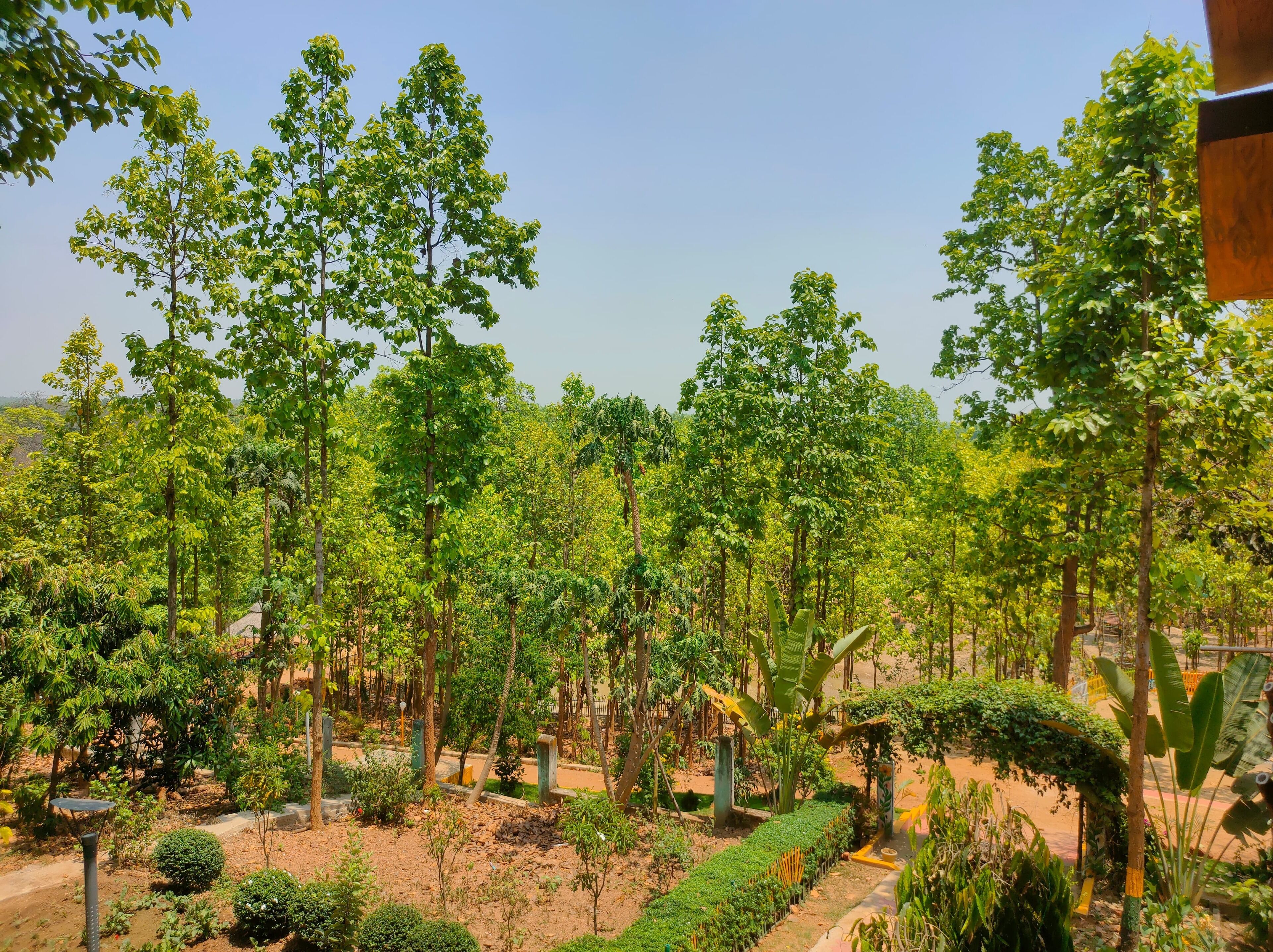 Un giardino rigoglioso con diversi alberi e piante, un vialetto lastricato e un cielo sereno.