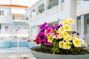 Seasonal outdoor pool, pool umbrellas, sun loungers - Anna's Studios & Apartments (Zakynthos)