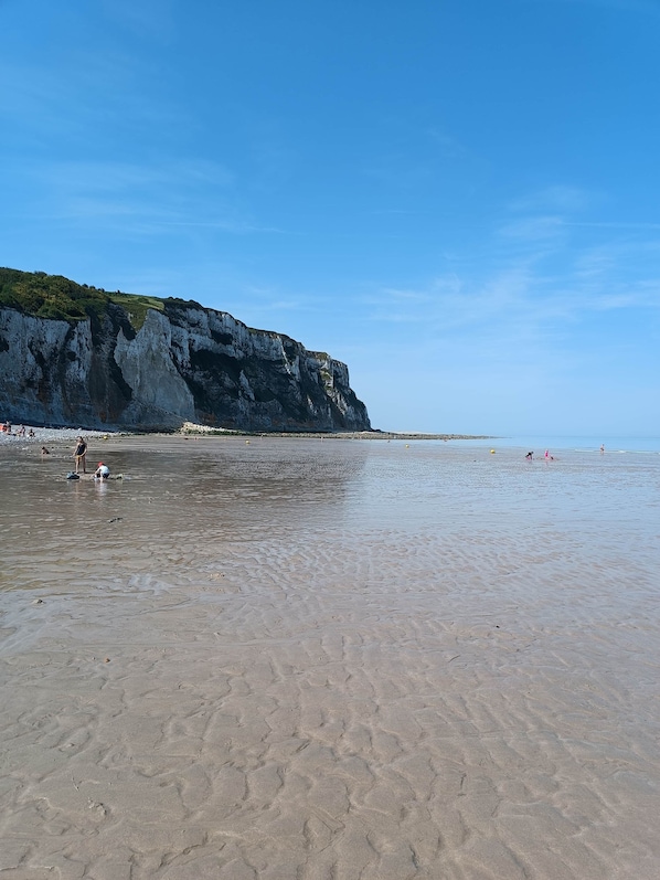 A beach with a rocky cliff, clear sky, and people in the water.