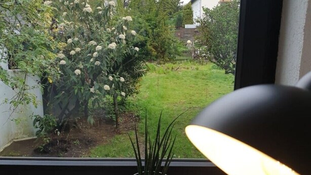 Een potplant op een raamkozijn, met uitzicht op een tuin.