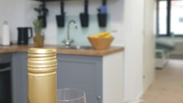 Een keuken met een grijs kastje, een spoelbak en een aanrecht met een plant en een mand bananen.