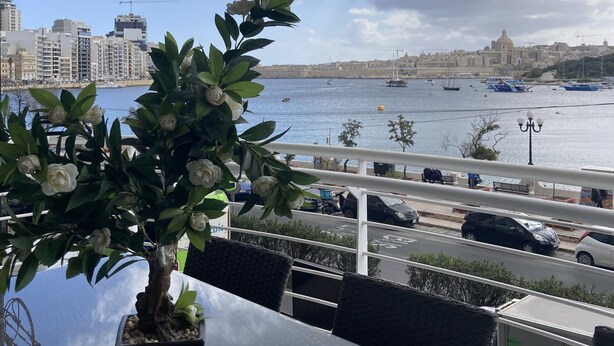 Un balcón con una planta en maceta, con vistas a un puerto deportivo con barcos y un paisaje urbano.